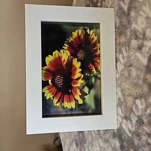 5" x 7"  Flower photo in frame